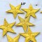 5 Pieces Jumbo Gold Star Embroidery Patches with Metallic Thread Iron On 2.5" Large Craft
